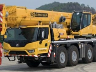 RENTAL CRANE MOJOKERTO MALANG & JOMBANG