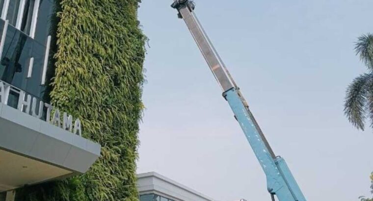 sewa sky lift truck pju Gresik Surabaya Sidoarjo